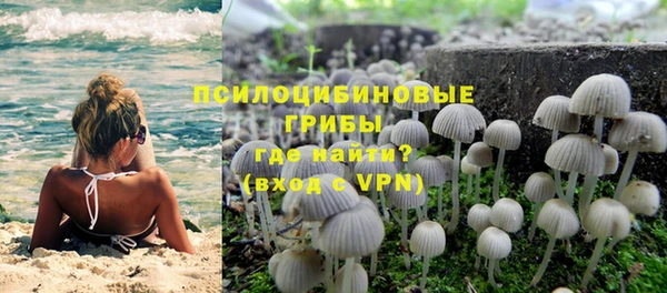 тгк Армянск