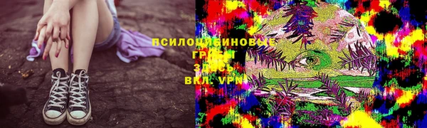 ПСИЛОЦИБИНОВЫЕ ГРИБЫ Балахна