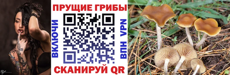 Псилоцибиновые грибы MAGIC MUSHROOMS  Барыш 
